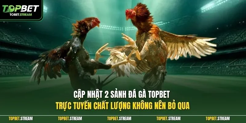 Cập nhật 2 sảnh đá gà TOPBET trực tuyến chất lượng không nên bỏ qua