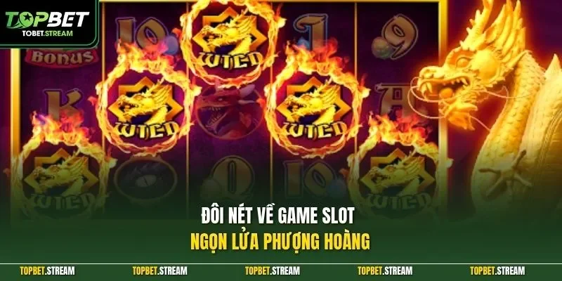 Đôi nét về game slot Ngọn Lửa Phượng Hoàng 