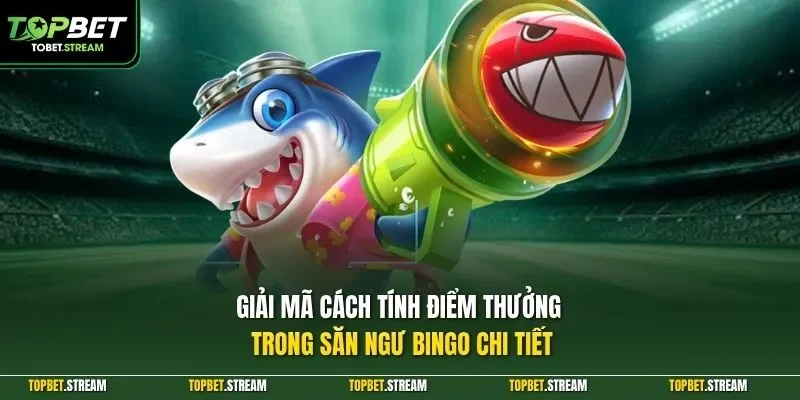 Giải mã cách tính điểm thưởng trong săn ngư Bingo chi tiết