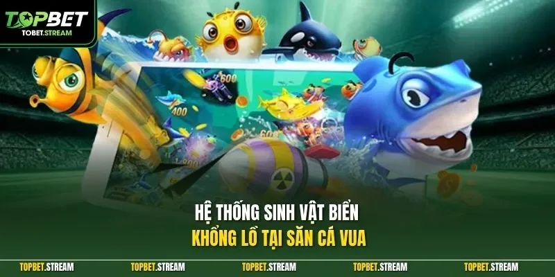 Hệ thống sinh vật biển khổng lồ tại săn cá vua