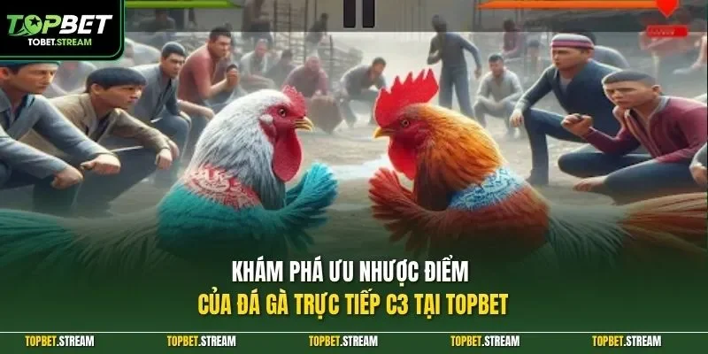 Khám phá ưu nhược điểm của đá gà trực tiếp C3 tại TOPBET