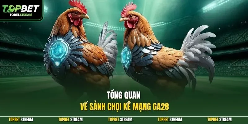Tổng quan về sảnh chọi kê mạng GA28