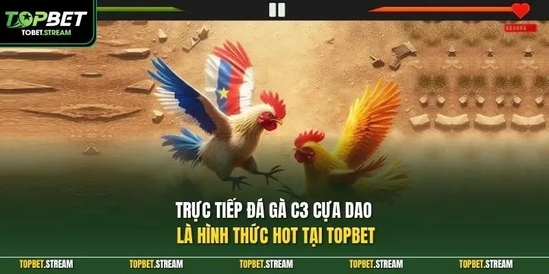 Trực tiếp đá gà C3 cựa dao là hình thức hot tại TOPBET